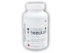 Nutri Works Strong Tribulus Terrestris 750mg 120 kapslí Nutri Works Strong Tribulus Terrestris 750mg 120 kapslí