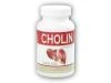 Nutristar Cholin 100 kapslí