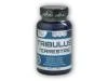 Nutristar Tribulus Terrestris Kotvičník 100 tablet
