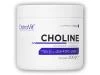 Ostrovit Supreme pure Choline 200g Ostrovit Supreme pure Choline 200g