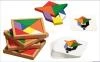 Philos Spiele Seed Tangram dřevěná hra pro až 4 hráče
