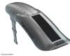 RRP Proguard Rear Plain Black Mini blatník
