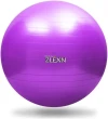 Sedco Gymnastický míč ZLEXN Yoga Ball 55 cm Sedco Gymnastický míč ZLEXN Yoga Ball 55 cm