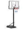 Sedco Panel na basket se stojanem 135305