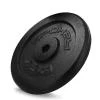 Spokey SINIS Litinový kotouč, 29 mm, 2,5 kg Spokey SINIS Litinový kotouč, 29 mm, 2,5 kg