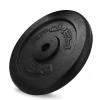 Spokey SINIS Litinový kotouč, 29 mm, 5 kg Spokey SINIS Litinový kotouč, 29 mm, 5 kg