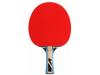 V3tec Pálka na stolní tenis V3 Tec Vtec 300 TT Bat 2.0