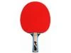 V3tec Pálka na stolní tenis V3 Tec Vtec 300 TT Bat 2.0