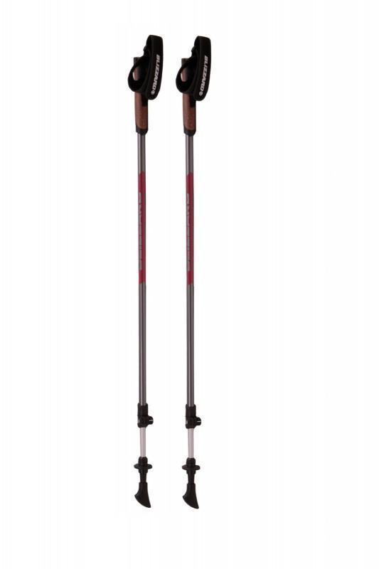 Blizzard Alu Performance anthracite/pink nordic walking hole