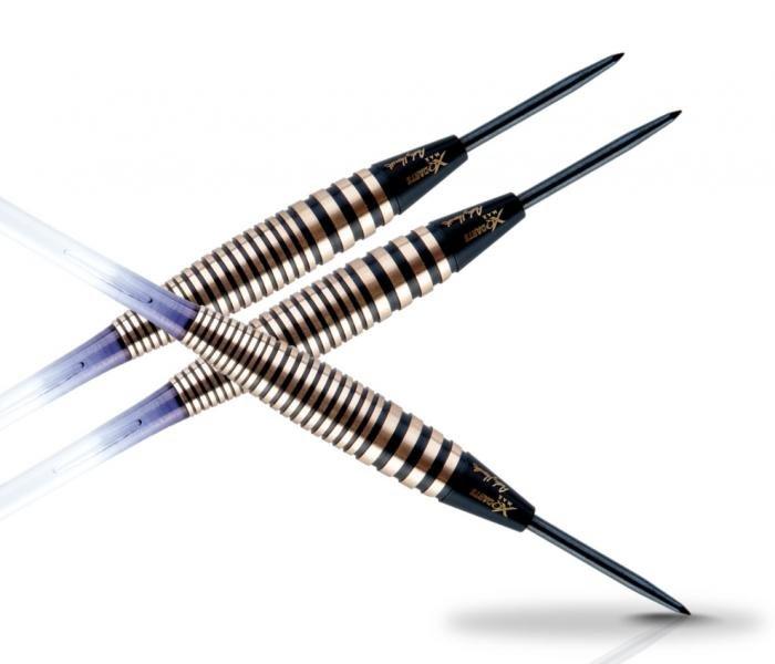 Xq Max Šípky Andy Hamilton - 21g